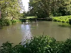 Confluence et séparation de deux bras de la Bresle.