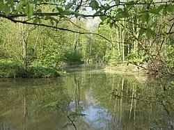 Embouchure du fossé de l'Elster à Leipzig