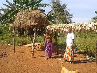 Yaloké