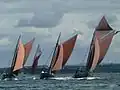 Tinduff août 2005, lors du Challenge des coquilliers de la rade de Brest, de gauche à droite : Sav Heol, Saint Guénolé, La Bergère de Domrémy et Général Leclerc.