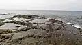 Coraux de l'île