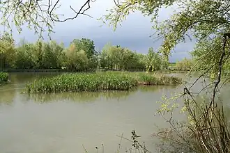 Vilanova de la Barca