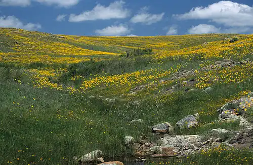 Prairie dans une réserve de l’Oklahoma (États-Unis).