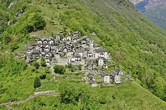 Corippo
