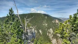 Mont Coronat vu depuis la Tartera.