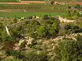 Enclos-apier de Correns (alt. : 219 m), à 4 gradins et cabanon extérieur.