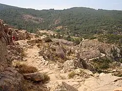 Chemin muletier