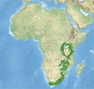 Description de l'image Corvus_albicollis_distribution.png.