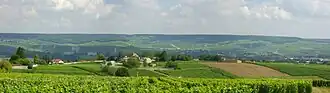 Image illustrative de l’article Coteaux, maisons et caves de Champagne