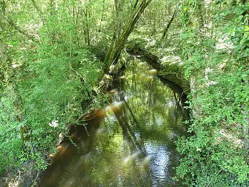 Le Courbarieu en limite de Minzac et Moulin-Neuf.
