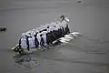 Course de pirogue