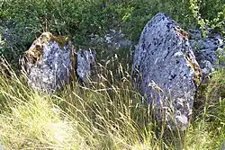 Dolmen de la Ferrière.
