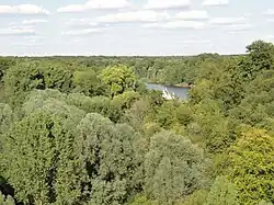 La forêt vue du viaduc ferroviaire.