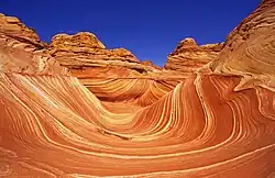 The Wave
