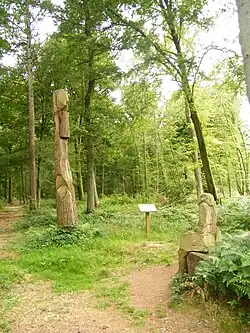L'arbre raconte.