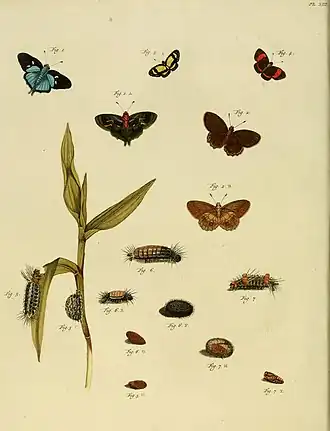Description de l'image CramerAndStoll-uitlandsche kapellen supplement- pl. 13.jpg.