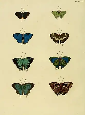 Description de l'image CramerAndStoll-uitlandsche kapellen vol. 3- pl 259.jpg.
