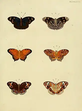 Description de l'image CramerAndStoll-uitlandsche kapellen vol. 3- pl 281.jpg.