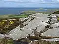 Creag Bhàn, plus grande colline sur l'île, culminant à 100&nbsp;m.