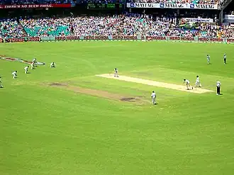 Image illustrative de l’article Cricket