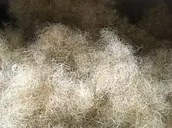 Crin animal blond