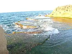 Crique à Stidia