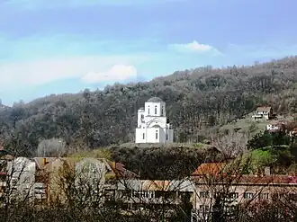 Vladičin Han