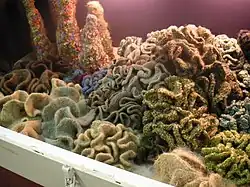 Boules de tissu plissé colorées derrière une vitre, imitant un aquarium.