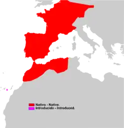 Aire de répartition de la Crocidure musette