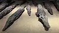 Momies de crocodiles, Kom Ombo (Crocodile Museum)