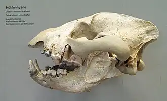 Description de cette image, également commentée ci-après