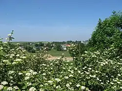 Vue générale.