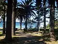 Cronulla Park.