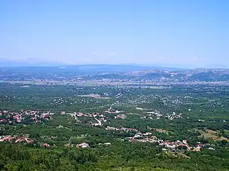 Crveni Grm