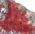 Chalcotrichite (11,4&nbsp;×&nbsp;10,1&nbsp;×&nbsp;5,6&nbsp;cm), Cole mine, Bisbee, Arizona.