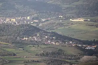 Curcuris
