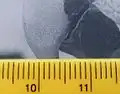 Détail de l'affichage d'une photo.