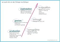 Le cycle de l'image numérique