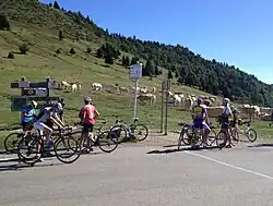 Photographie de cyclistes au col d'Aspin.