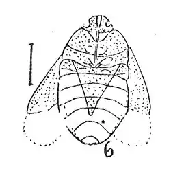 éch. R45 x3,2.
