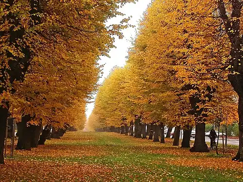 L'allée Wallenstein longue de 1,7&nbsp;km.