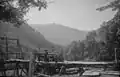 Débardage par câble dans le Pyrénées (1965).