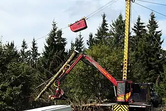 Chantier de restauration de la chaume sommitale en 2014 : débardage des épicéas par câble.