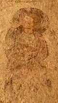 Détail de la peinture médiévale sur un des murs de la chapelle Saint-Sauveur. En mauvais état, on distingue encore quelques détails du personnage : sans doute un saint comme en témoigne l'auréole.
