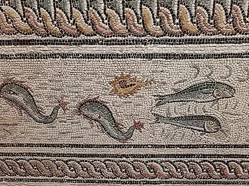 Dauphins et culex.
