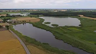 Dębica (Lublin)