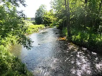 Dłużew