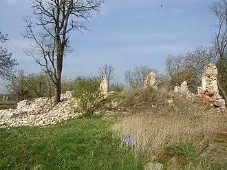 Dłużyce