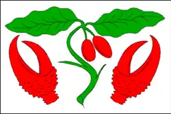 Drapeau de Dřínov