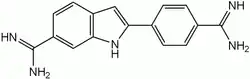 Image illustrative de l’article DAPI